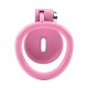 Std Inverted Sissy Chastity Cage For Erection Denial Pink Std Inverted Sissy Chastity Cage For Erection Denial Pink