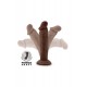 Dr. Skin Posable - Ομοίωμα Πέους 16.5 εκ Καφέ Dr. Skin Posable - Ομοίωμα Πέους 16.5 εκ Καφέ